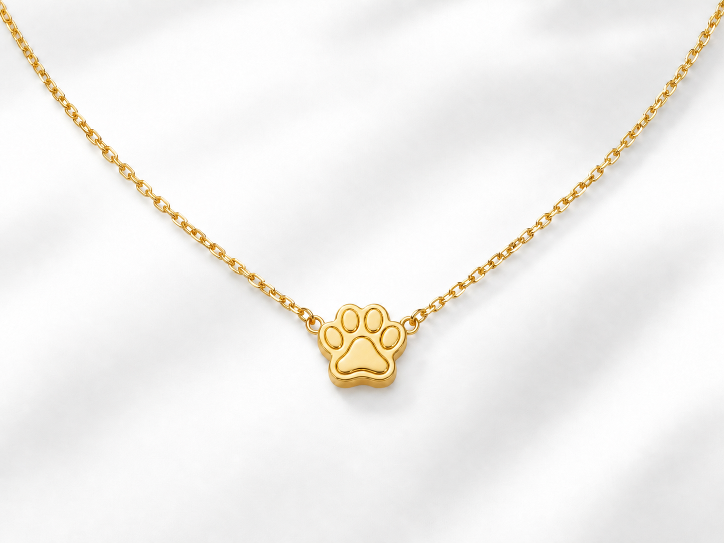 PAW PRINT ON MY HEART